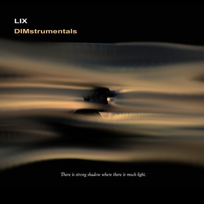 DIMstrumentals Front Cover
