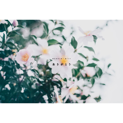 ありがとうのジャケット写真