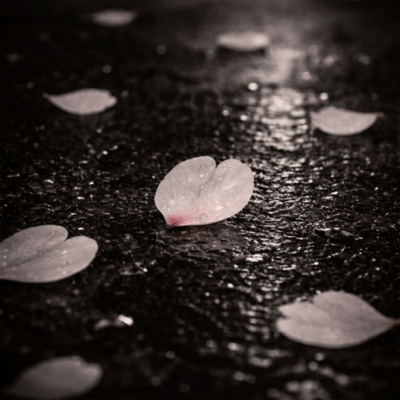 The End of March (ChibaNyan Remix) Front Cover