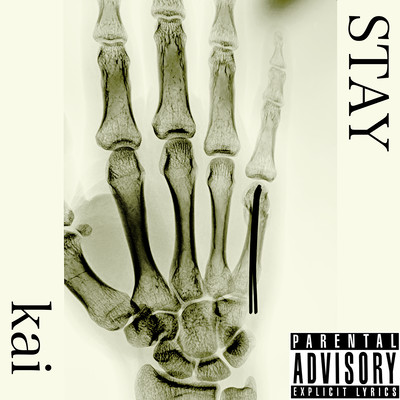 STAYのジャケット写真