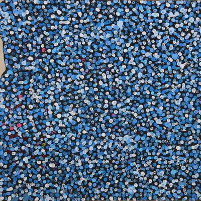 Blue on blue Front Cover