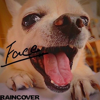 Face Front Cover