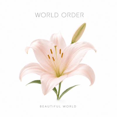 BEAUTIFUL WORLD Front Cover