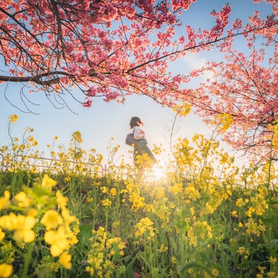 お別れノスタルジーのジャケット写真