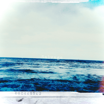 Salvageのジャケット写真