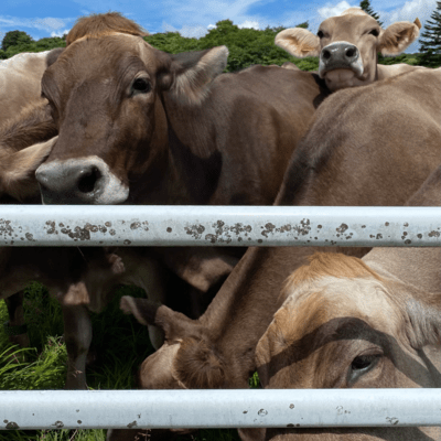Fucked Up In A Blanketのジャケット写真