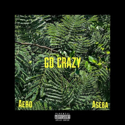 Go crazy (feat. ASEBA) Front Cover