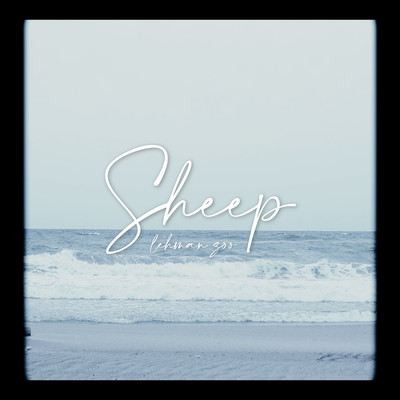 Sheep Front Cover