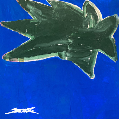 Fledgling Front Cover