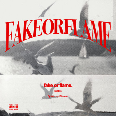 Fake Or Flameのジャケット写真