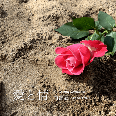 Love and Sentiment Front Cover