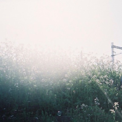 Thinking out loud Front Cover