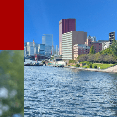 die in spring Front Cover