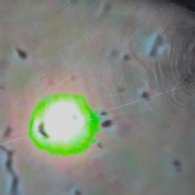 Born to dieのジャケット写真