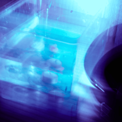 Negative mind Front Cover