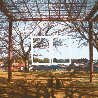 Madonosoto Front Cover