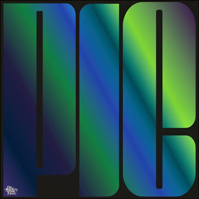 PICのジャケット写真