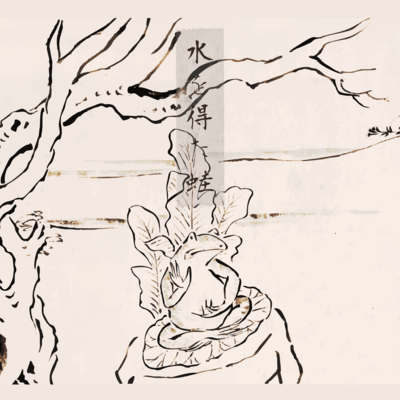 Load into Frog Front Cover