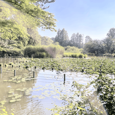 T.Rex imagined his future girlfriendのジャケット写真