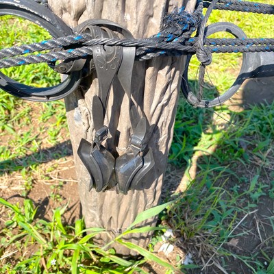 Sick Dolphinのジャケット写真