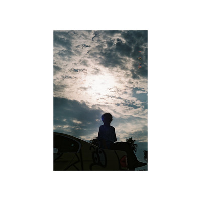 walk in a forest Front Cover