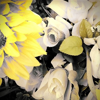 Hazy yesterday , tomorrow in the drops Front Cover