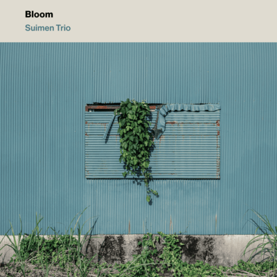 Bloom Front Cover