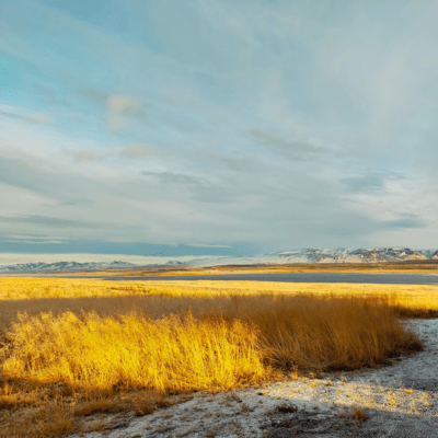 I Went But Didn't Stay Thereのジャケット写真