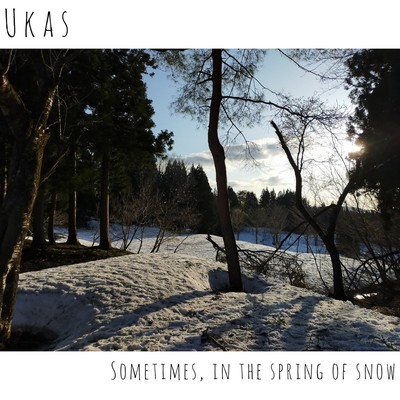 Sometimes, in the Spring of Snow Front Cover