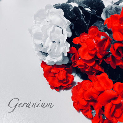 Geranium Front Cover