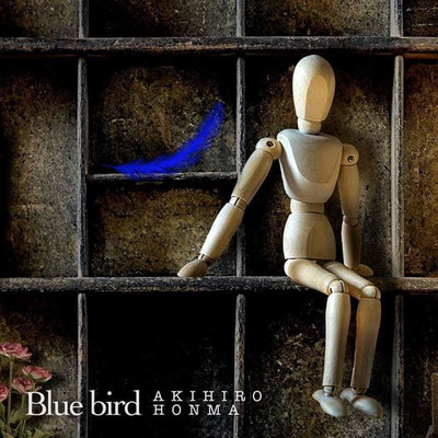 Blue Bird Front Cover