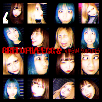 VIRGIN SUICIDES Front Cover