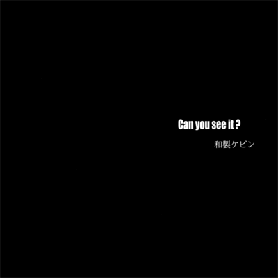 Can you see it ?のジャケット写真