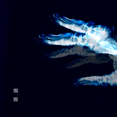 洒落頭のジャケット写真