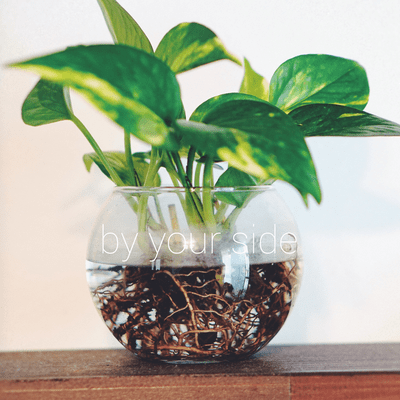 by your side Front Cover