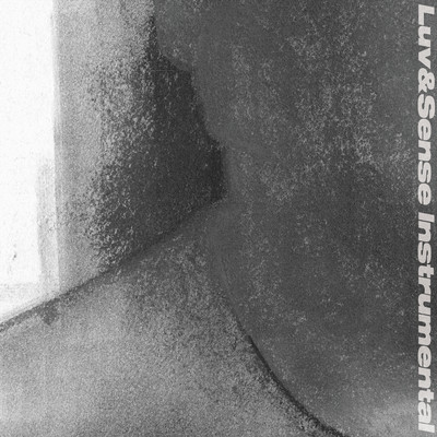 Luv&Sense Instrumental Front Cover