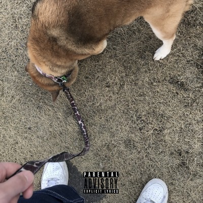 Sasukeのジャケット写真