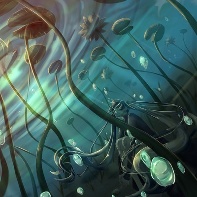 a Town in Water Lily Front Cover