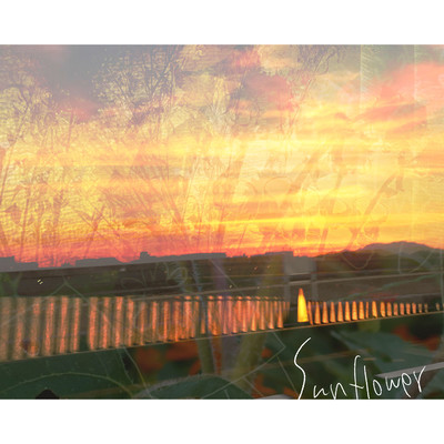 Sunflowerのジャケット写真