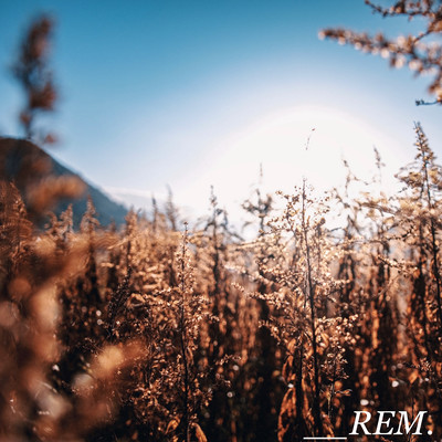 __REM.のジャケット写真
