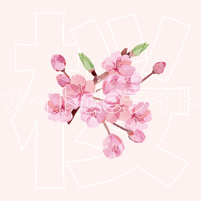 桜のジャケット写真