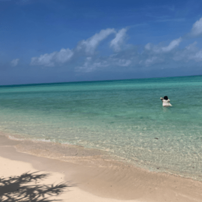 SUMMER NO FINISH (feat. greencat) Front Cover