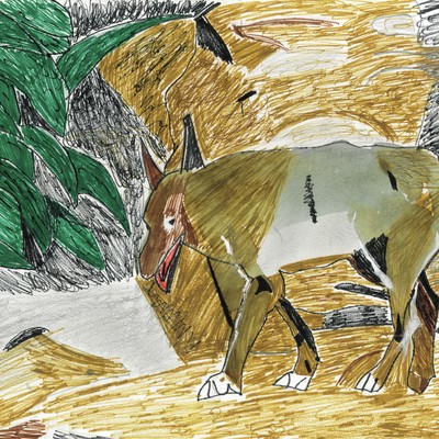 Enclosed Front Cover