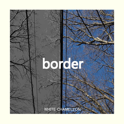 borderのジャケット写真