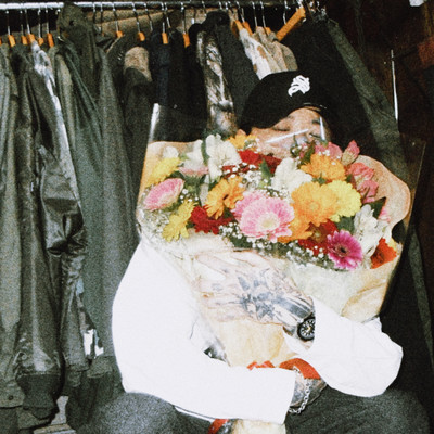 Gerbera Front Cover