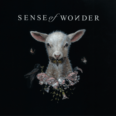 Sense of Wonderのジャケット写真