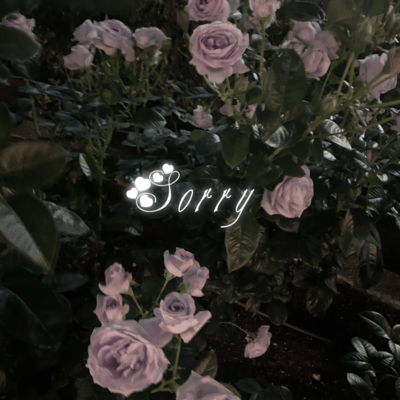 Sorryのジャケット写真