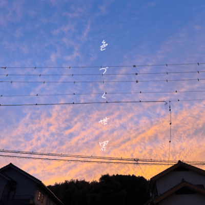 A colorful world Front Cover