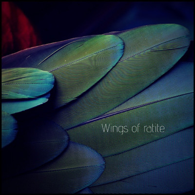 Wings of ratite Front Cover