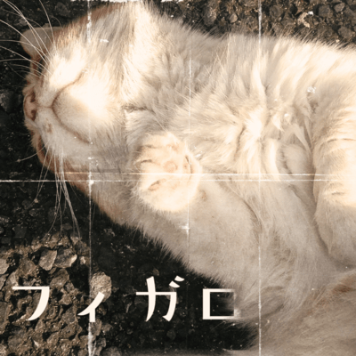 Figaro (2026 Remaster) Front Cover